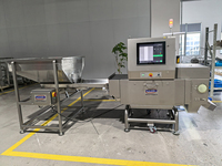 Machine d'inspection aux rayons X pour matériaux en vrac FANCHI, détecteur automatique de corps étrangers pour les aliments, les céréales, les poudres, les plastiques