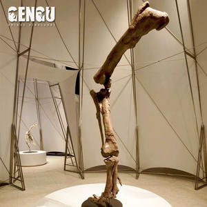 ฟอสซิลปลาลิโคเพอร์ตาสมัยก่อนประวัติศาสตร์ ทำจากไฟเบอร์กลาสทนทาน สำหรับตกแต่งภายในอาคาร สนามบิน สวน สนามแทรมโพลีน และสนามกีฬา - Product Image 4