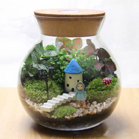 Terrarium en verre micro-paysage avec lumière, récipient en verre borosilicate fait main, pot en verre rond transparent avec couvercle en liège