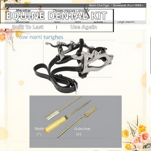 Euro Cavall Equine Horses <b>Dental</b> Kit Speculum Horse Mouth Gag Stainless Steel Reusable Farrier Tools Veterinary Clinic Float - Product Image 2