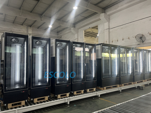 Tủ đông trưng bày thực phẩm đông lạnh nhiệt độ đơn 450L thẳng đứng với chức năng không có sương giá 5 Kệ tiết kiệm năng lượng - Product Image 5