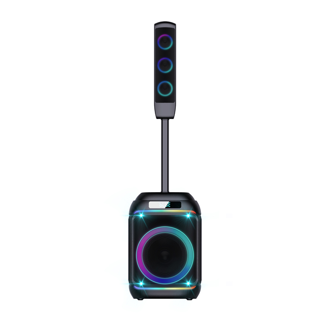 V Portable Karaoke Speaker Outdoor RGB Lights Party Speaker for Beach/Camping