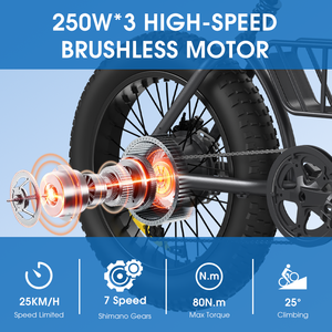 จักรยานไฟฟ้าสำหรับผู้ใหญ่รุ่นใหม่ 750W ขนาดยาง 20 นิ้ว แบบ Fatbike สำหรับเมืองและภูเขา พร้อมแบตเตอรี่ถอดได้ - Product Image 1