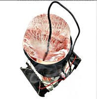 Gobelet de refroidissement RXT, gobelet de refroidissement rapide d'été, réfrigérateur à boisson froide de bureau, réfrigérateur semi-conducteur, tablette Peltier 12V 72W, système de refroidissement DIY