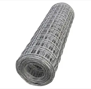 High quality Hot Dipped Galvanized Fencing Iron Netting/ Welded Wire Mesh for Animal Cages