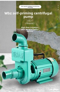 Bomba de agua autocebante de gran caudal para aguas residuales, 220V, de hierro, OEM, 2-3 pulgadas, de alta presión, para riego agrícola - Product Image 2