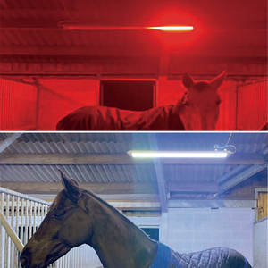 Tùy chỉnh 100W 150W 200W ngựa <span class=keywords><strong>LED</strong></span> trị liệu ánh sáng màu đỏ hồng ngoại 660nm 850nm solarium trị liệu động vật <span class=keywords><strong>LED</strong></span> ánh sáng 5 năm bảo hành - Product Image 1