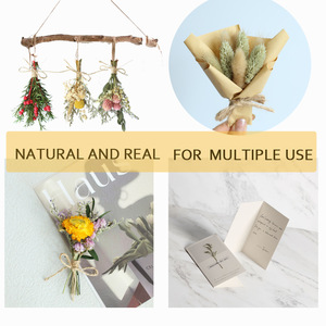 Ramo de Flores Secas y <span class=keywords><strong>Preservadas</strong></span> al por Mayor, 12 cm, <span class=keywords><strong>Mini</strong></span> Ramo de Gypsophila y <span class=keywords><strong>Rosas</strong></span> en Caja de Regalo para Decoración del Hogar en Días Festivos - Product Image 2