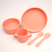 Ensemble personnalisé de fournisseur 5 pièces assiette en silicone pour bébé bol pour bébé tasse cuillère repas pour enfants ensemble d'alimentation en silicone pour bébé
