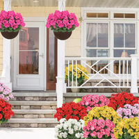 Buket Geranium Begonia Sutra Berlapis Ganda Laris Manis Lintas Negara, Dekorasi Rumah, Cetakan Injeksi Langsung Dari Produsen