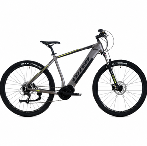 Vélo électrique tout-terrain robuste avec cadre en alliage d'aluminium 29*19 pouces, freins à disque hydrauliques 9 vitesses, batterie au lithium 20AH, moteur arrière sans balais - Product Image 1