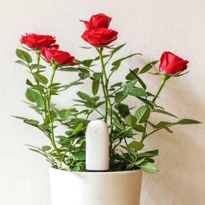 เครื่องตรวจวัดความชื้นในดินและสารอาหารอัจฉริยะสำหรับดูแลดอกไม้ - Product Image 4