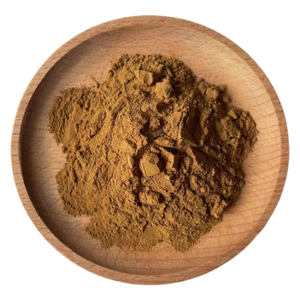 Extracto <span class=keywords><strong>de</strong></span> Agrocybe Cylindracea en Polvo <span class=keywords><strong>de</strong></span> Alta Calidad, Extracto <span class=keywords><strong>de</strong></span> Hongo Agrocybe Cylindracea 10:1 - Product Image 1