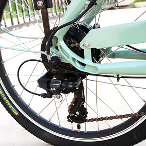 Bicicleta Eléctrica de Reparto, Triciclo Eléctrico, Bicicleta Holandesa, Casa Móvil Eléctrica, Triciclo Eléctrico Enduro, Bicicleta Familiar de Carga de 3 Ruedas, Bakfiets - Product Image 4