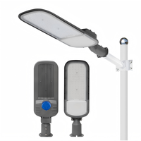 Lampadaire extérieur haute luminosité 100W IP65 étanche avec support réglable pour éclairage secondaire routier