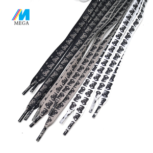 Bán Số Lượng Lớn Bán Buôn Nhựa Dây Giày Mẹo Giày Ren Dây Giày Với Logo Tùy Chỉnh - Product Image 2