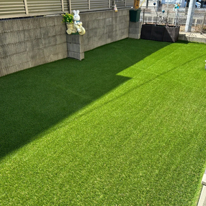 Césped Artificial Ecológico para Patio Trasero LFL, Material de Polietileno, Impermeable, Resistente a los Rayos UV, Altura y Color Personalizables - Product Image 6