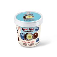 Crème glacée en forme de fruits 3D virale 140g |   Mangue, fraise, ananas, myrtille |   12 packs Halal en boîte