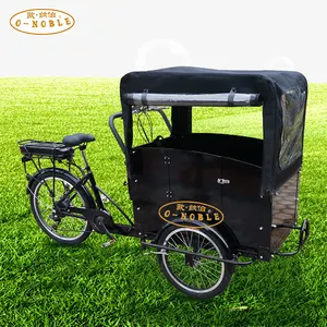 Dutch Popular Cargo Bike 3 Räder Elektro Dreirad