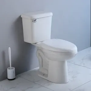 Badkamer Sanitair De Chinese Wc