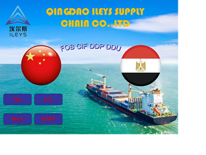 "Logística rápida e acessível África do Norte - Product Image 2