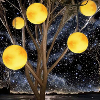Boule de lune LED personnalisable, durable, réutilisable, pour intérieur/extérieur, pour les fêtes de Noël, classée IP44, en plastique