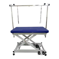 Table de toilettage professionnelle pour chiens et animaux de compagnie, nouvelle conception, en acier inoxydable et caoutchouc, électrique, élévatrice