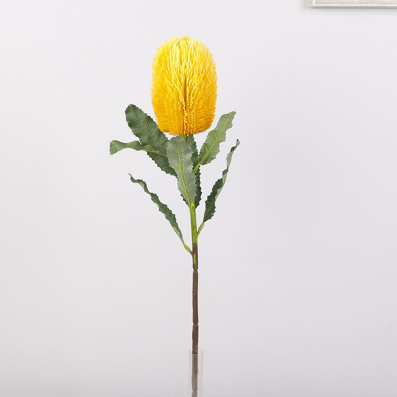 สีเหลือง