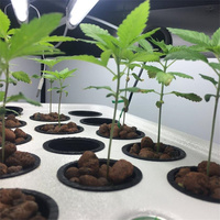 Pots hydroponiques en filet de 60x55 mm pour la culture des plantes, la germination des graines et la culture des légumes