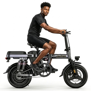 Vélo de ville pour adultes OEM/ODM, 25 km/h, frein à disque mécanique, moteur arrière sans balais 250W 48V, batterie lithium pliable - Product Image 1