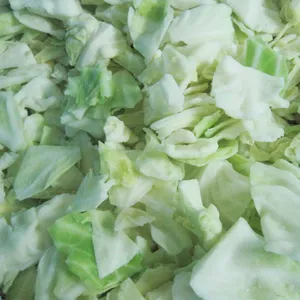 Grosir harga ekspor jumlah besar Tiongkok per ton kubis frozen hijau segar untuk dijual