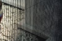 Fenêtre moustiquaire/porte moustiquaire rétractable/porte moustiquaire pliante en maille plissée