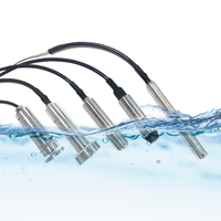 Capteur de niveau d'eau de haute précision 0,5 % FS, petit diamètre 19 mm, transmetteur de niveau submersible pour dispositif de forage profond OEM ODM