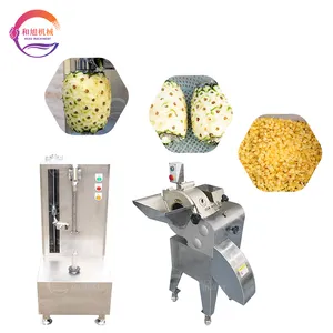Ananas-Schäler und -Schneider elektrische Fruchtschäler Maschine Ananas-Schneidemaschine