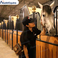 Panneaux d'écuries pour chevaux en acier, porte néerlandaise personnalisée, 3x2,2m, porte à charnières, garantie 6 mois, box pour chevaux
