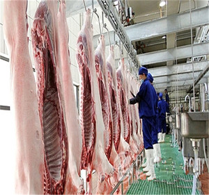 Línea de Sacrificio de Cerdos para Mataderos, Equipos para Mataderos, Maquinaria para el Procesamiento de Carne de Cerdo, Soluciones de Diseño y Planificación Gratuitas. - Product Image 3