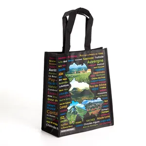 Custom Printing carry bags for shopping PP Non-woven Bag Laminated Non Woven reusable shopping bag with OPP film Lamination