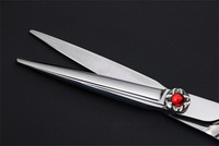 AK26 Japon Acier Coiffure pour Salon de Coiffure Ciseaux de Coupe de Cheveux Professionnels