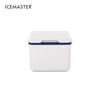 Glacière IceMaster Flexi 5L OEM, nouvelle conception, étanche, en PP de qualité alimentaire, mini glacière multicolore pour canettes de bière avec poignée