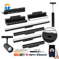 Système d'éclairage sur rail magnétique LED 48V avec interrupteur DIP, CCT réglable, spots, grilles, projecteurs et lampes murales, contrôle intelligent et dimmable
