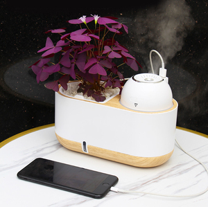 Humidificateur d'eau domestique moderne en plastique pour personne paresseuse, design intelligent de pot de fleurs - Product Image 4