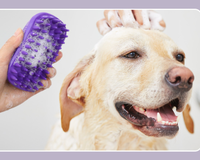 Kit complet de toilettage pour chiens et chats avec peigne, brosse, coupe-ongles, ciseaux, gants, outils d'élimination des poils, ensemble de fournitures pour le soin des animaux domestiques