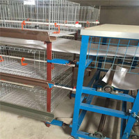 Cage à poules automatique à couches métalliques avec système d'alimentation, type de cage pour usage commercial, respirante et facile à nettoyer
