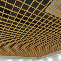 Plafonds suspendus en grille d'aluminium ignifugés, modernes, de luxe, insonorisés, de forme carrée, faciles à nettoyer, sur mesure