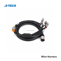 Conector de arnés hecho a medida Fabricante profesional de procesamiento de arnés de cables