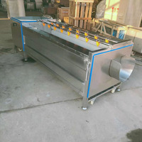 Automatische Groente-en Borstel Wasmachine Palm Datum Apple Schoonmaken Gember Dunschiller Aardappel Wasmachine Prijs