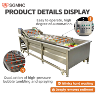 Industriële automatische wasmachine voor peper/sla/kool/spinazie