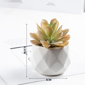 Décoration de maison plantes succulentes artificielles meubles de bureau accessoires de maison décoration de <span class=keywords><strong>jardin</strong></span> vase en céramique plantes succulentes <span class=keywords><strong>cadeau</strong></span> - Product Image 5