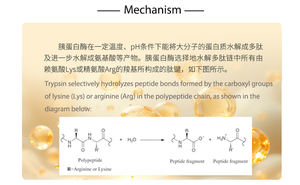 동물 및 식물 모두에서 단백질 가공을위한 트립신 효소 (20,0000u/g); 가죽, 사료, 섬유 등과 같은 기타 산업 - Product Image 3