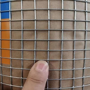 Welded Bird-proof Nets for Fence Hot-dip Galvanized Welded <b>Wire</b> <b>Mesh</b> with Customized <b>Wire</b> Gauge - Product Image 3